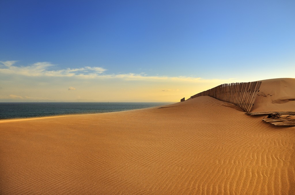 Tarifa